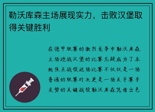 勒沃库森主场展现实力，击败汉堡取得关键胜利